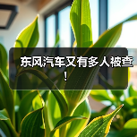 东风汽车又有多人被查!(图3) 东风汽车又有多人被查!(图3)