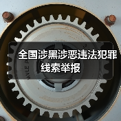 全国涉黑涉恶违法犯罪线索举报（图4）