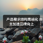 产品需求结构高端化 自主加速品牌向上(图1) 产品需求结构高端化 自主加速品牌向上(图1)
