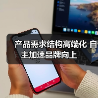 产品需求结构高端化 自主加速品牌向上(图4) 产品需求结构高端化 自主加速品牌向上(图4)