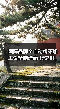 国际品牌全自动线束加工设备制造商-博之旺，邀你参加2020深圳国际线束加工展会（图3）