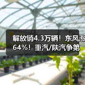 解放销4.3万辆！东风涨64%！重汽/陕汽争第三！5月重卡破17万辆（图2）