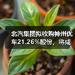 北汽集团拟收购神州优车21.26%股份，将成神州租车第一大股东（图3）