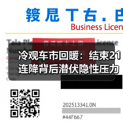 冷观车市回暖：结束21连降背后潜伏隐性压力（图1）