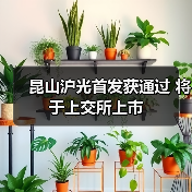 昆山沪光首发获通过 将于上交所上市(图3) 昆山沪光首发获通过 将于上交所上市(图3)