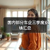 国内部分车企三季度业绩汇总(图3) 国内部分车企三季度业绩汇总(图3)
